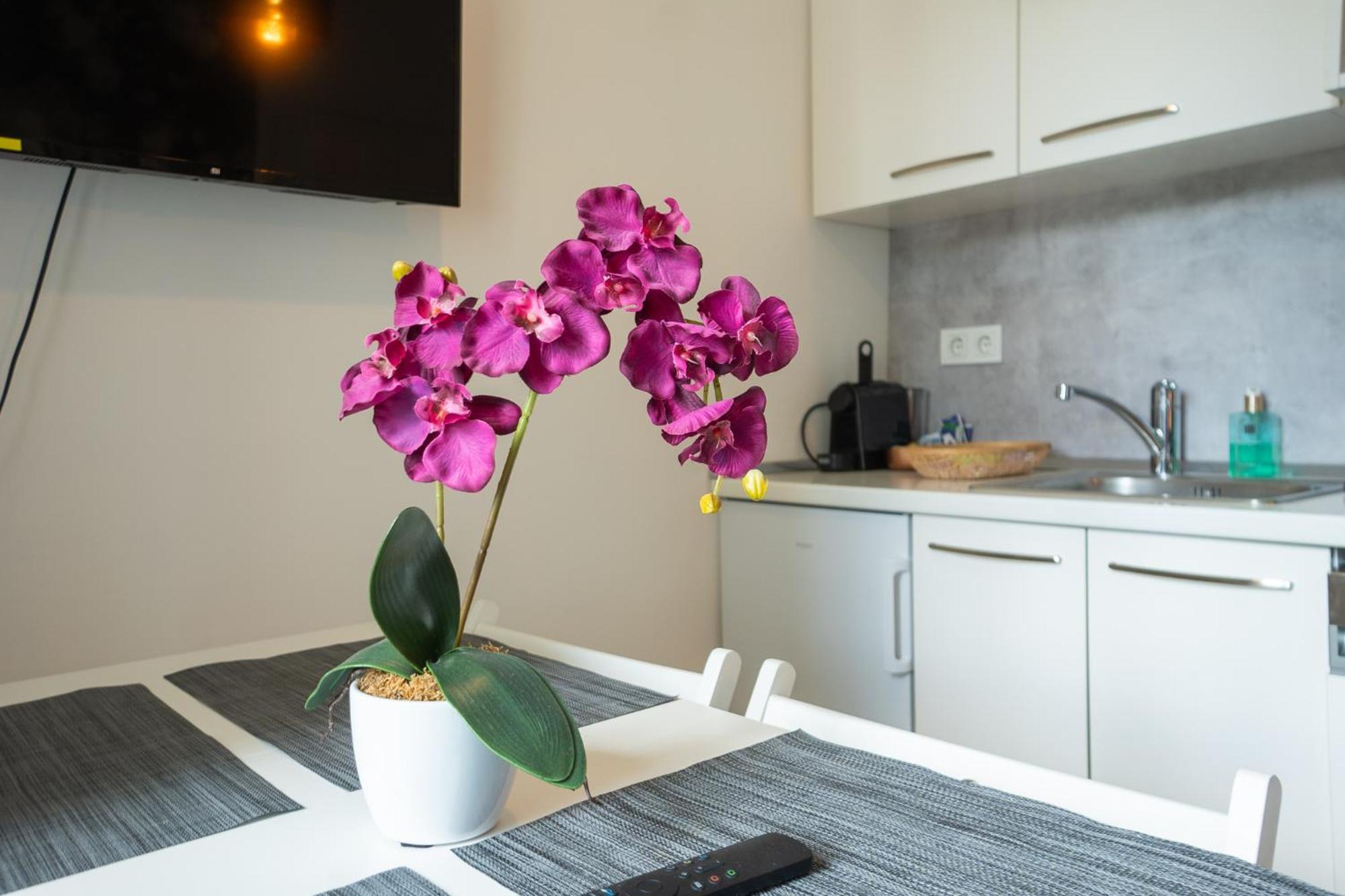 Dainn Apartments Schoenbrunn Wien Ngoại thất bức ảnh